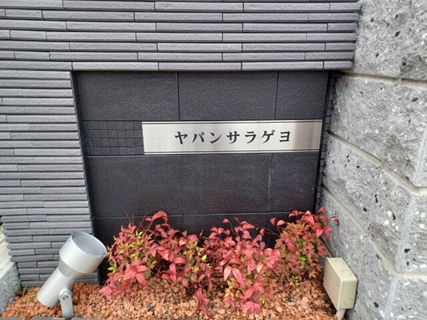  ヤパンサラゲヨ