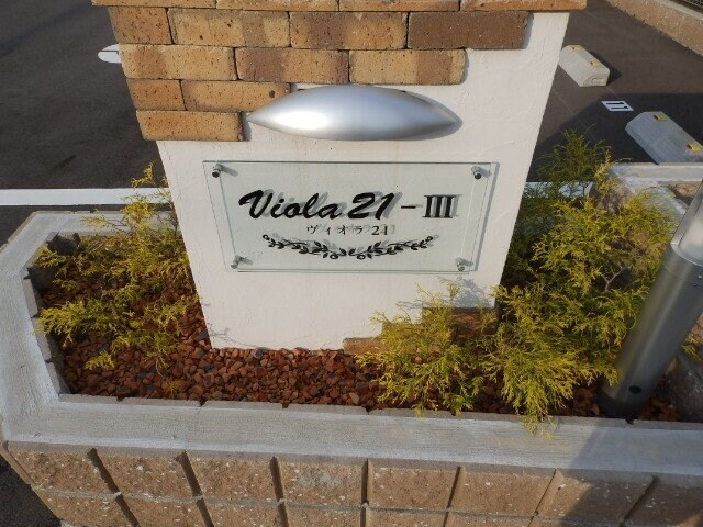  ヴィオラ２１－Ⅲ