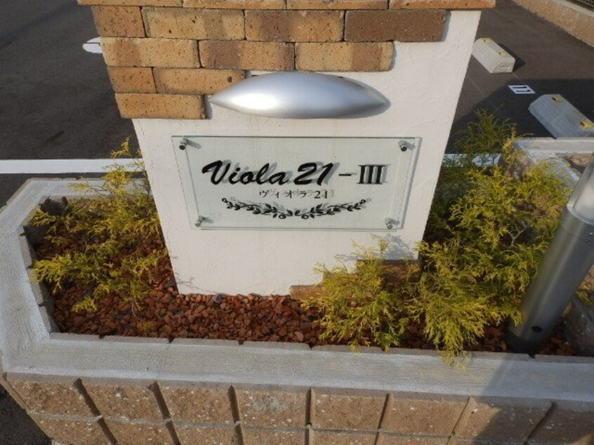  ヴィオラ２１－Ⅲ