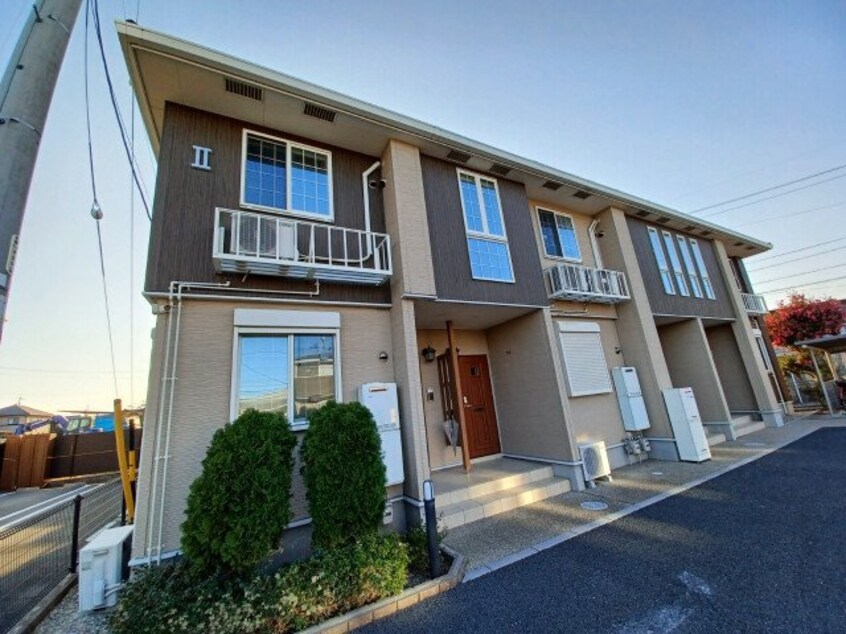  スターポップ　Ｍ　Ⅱ