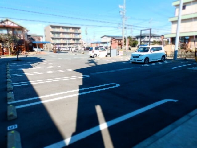  アプリコット　エム