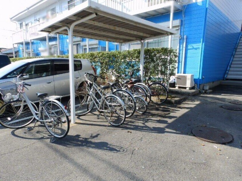  ドルフィン№１