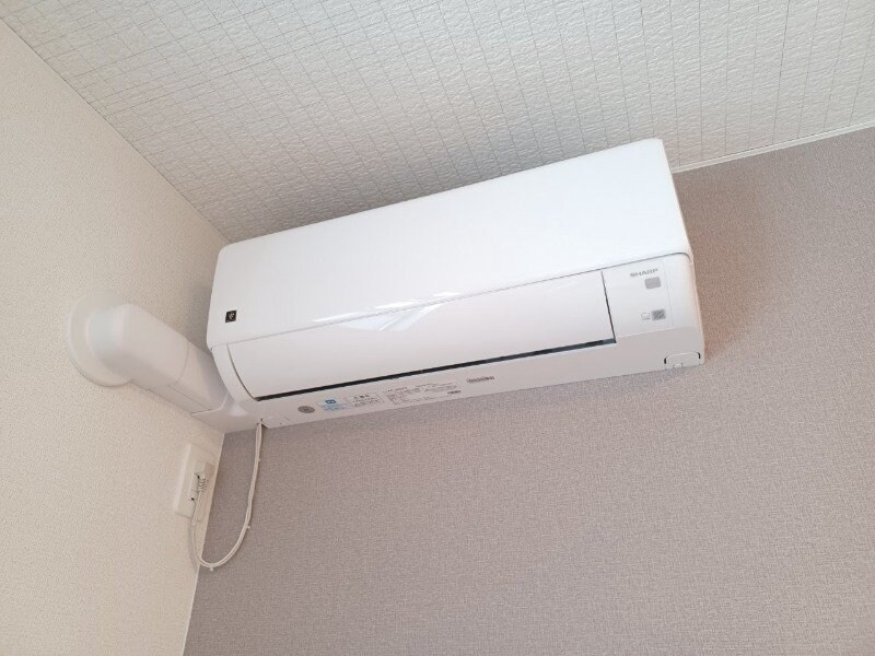 反転タイプ参考写真 ビーラブド