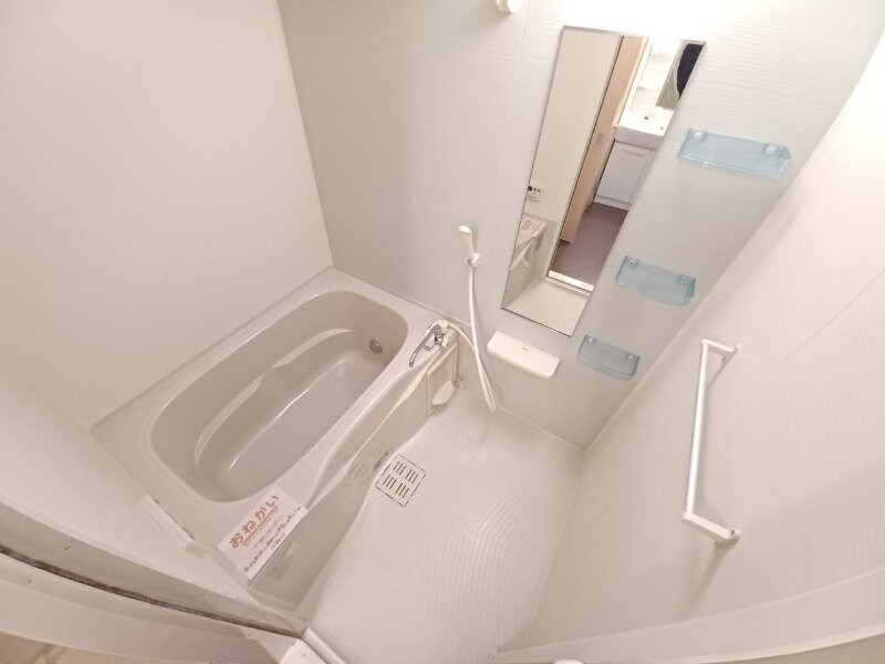 同型参考写真 フェリシテ