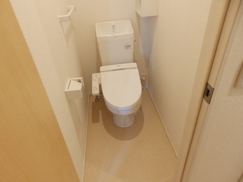 同型参考写真 フェリシテ