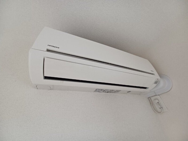 同型参考写真 フェリシテ