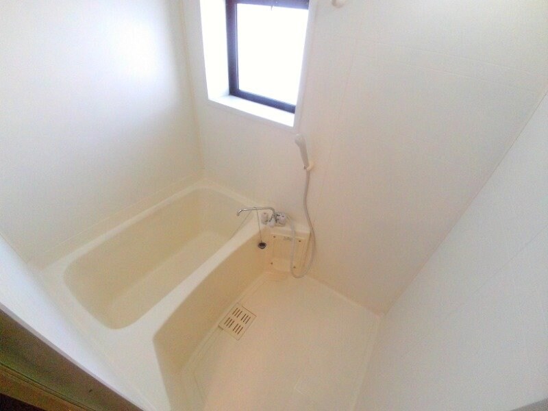 同物件、別部屋写真になります サウスホーム