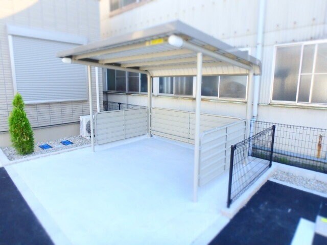  アンジェラⅡ