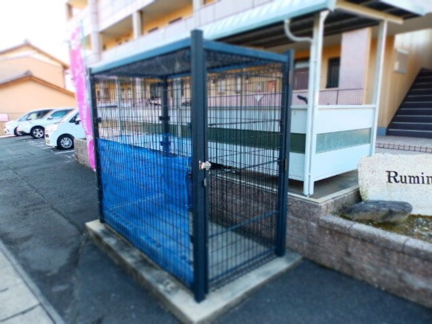  Ｒｕｍｉｎａｃｅ