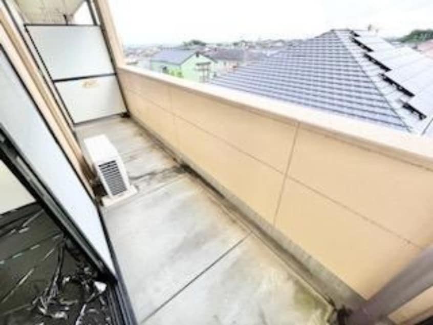  Ｒｕｍｉｎａｃｅ