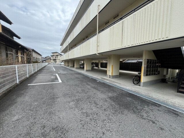  ウッズフェアリー