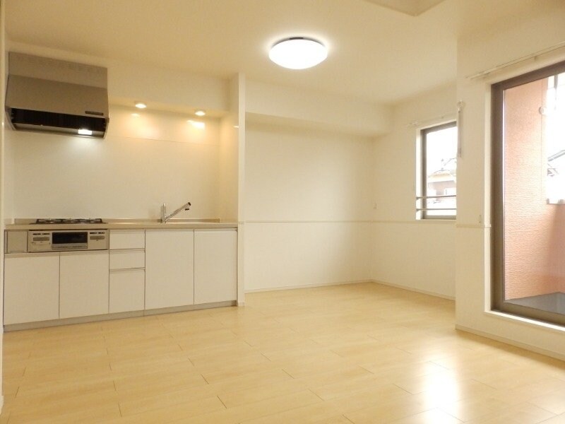 反転タイプ参考写真 Ｍ・プラム　Ⅲ