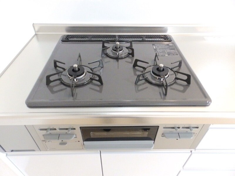 反転タイプ参考写真 Ｍ・プラム　Ⅲ