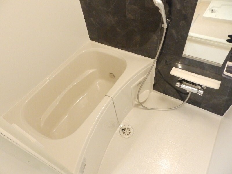 反転タイプ参考写真 Ｍ・プラム　Ⅲ