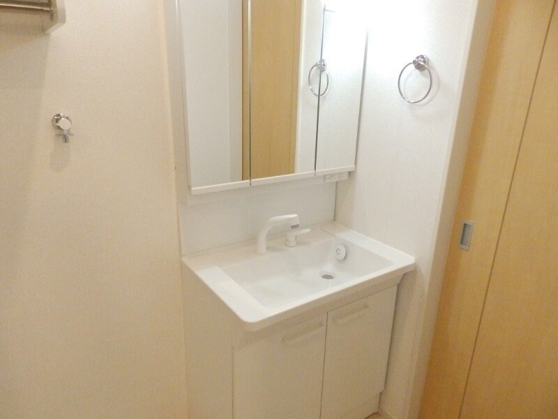 反転タイプ参考写真 Ｍ・プラム　Ⅲ