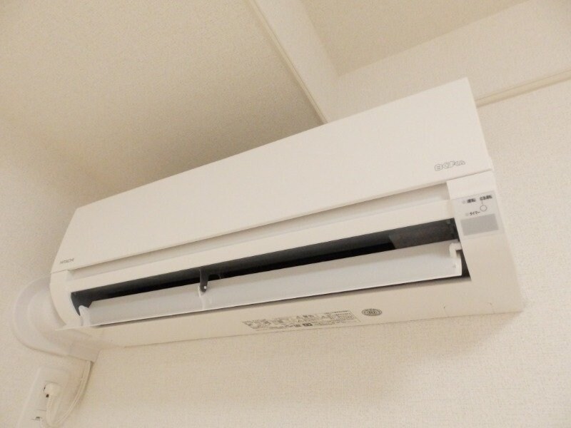 反転タイプ参考写真 Ｍ・プラム　Ⅲ