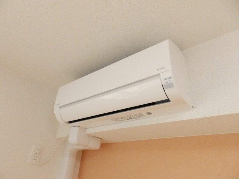 反転タイプ参考写真 Ｍ・プラム　Ⅲ