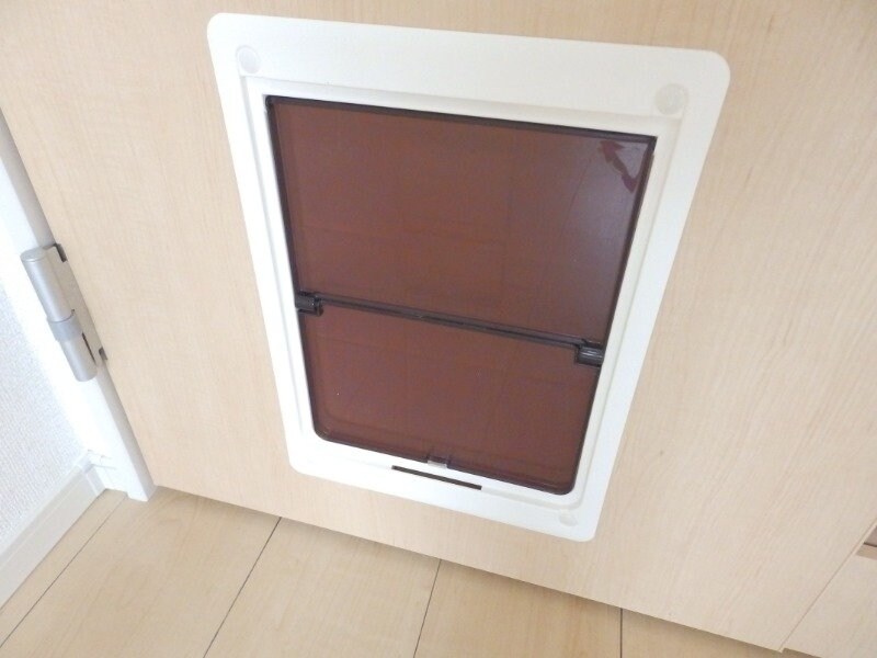 反転タイプ参考写真 Ｍ・プラム　Ⅲ