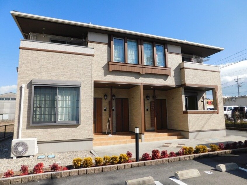  パディ－フィ－ルドＡ