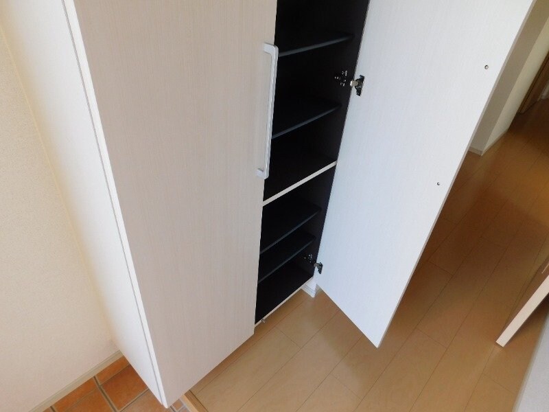  パディ－フィ－ルドＡ