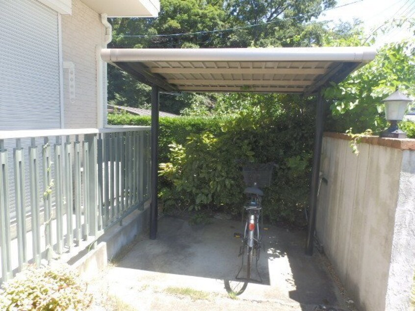  カラー　クインテット