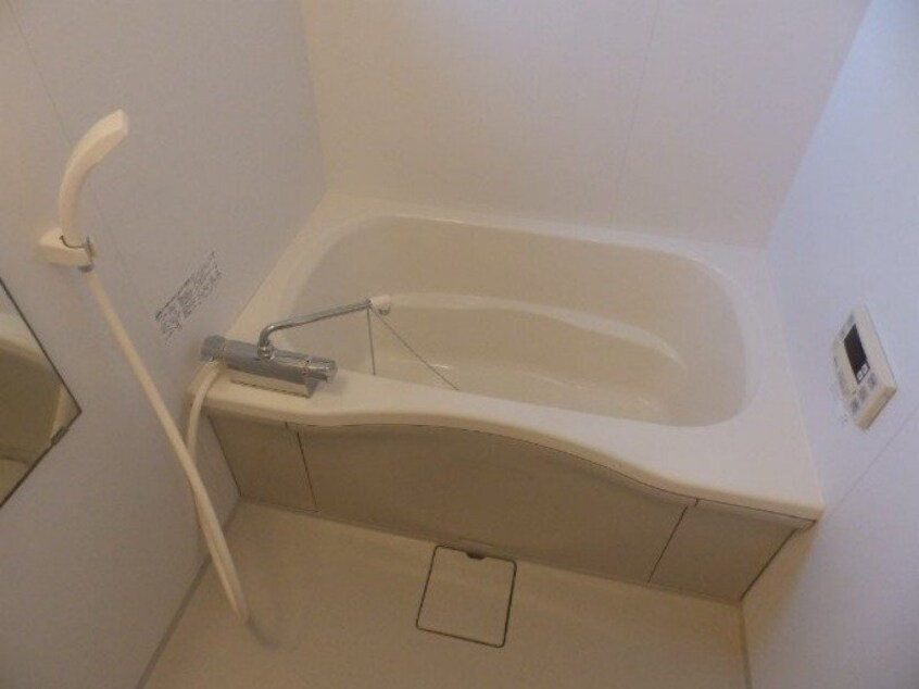  カラー　クインテット