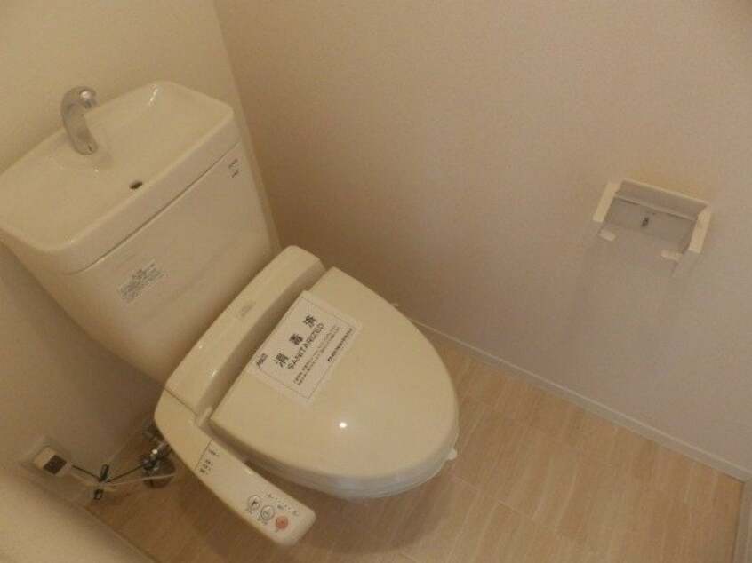  カラー　クインテット