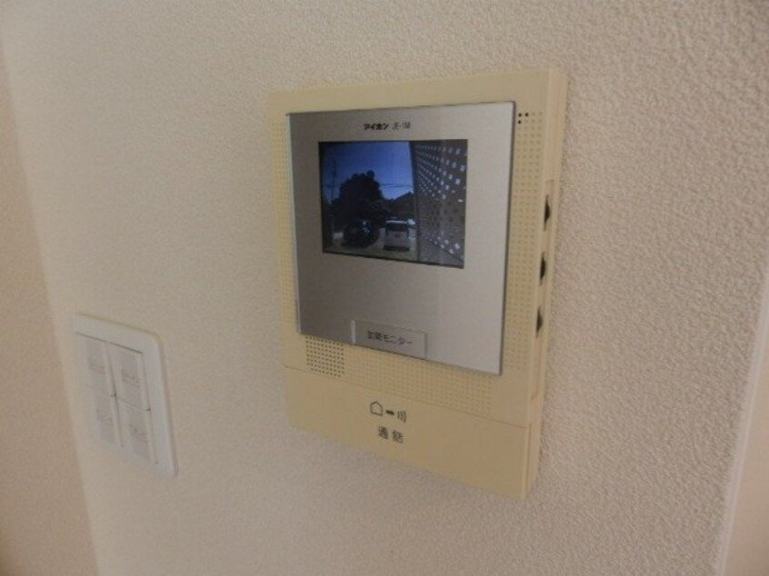  カラー　クインテット