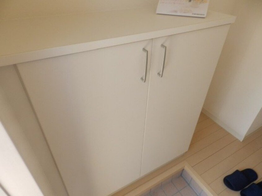  カラー　クインテット