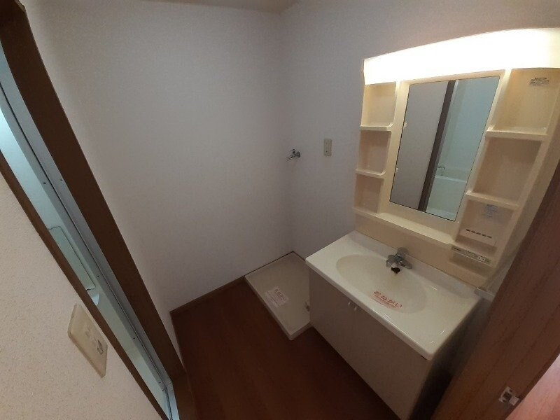 同型参考写真 アネスト