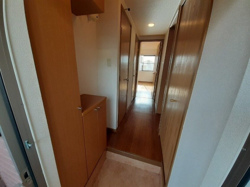 同型参考写真 アネスト