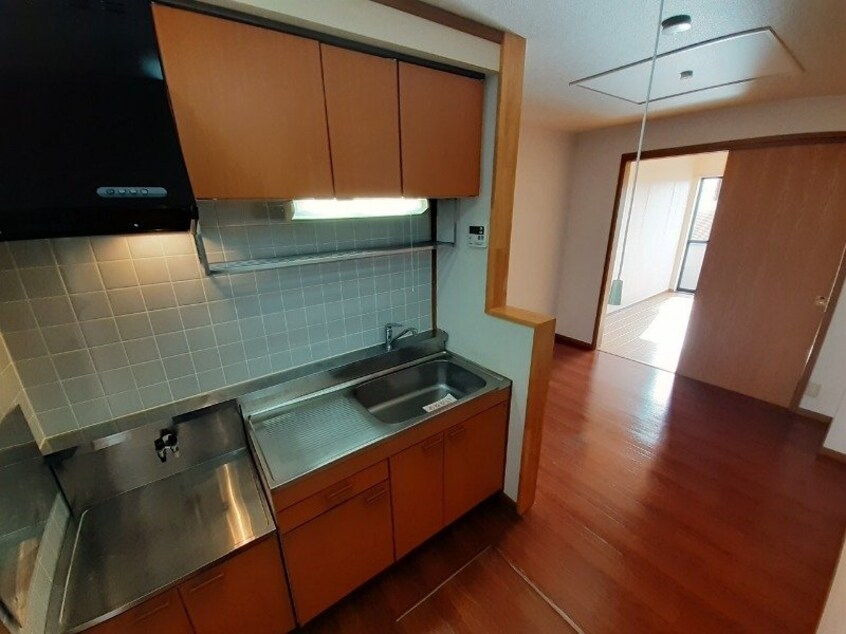 同型参考写真 アネスト