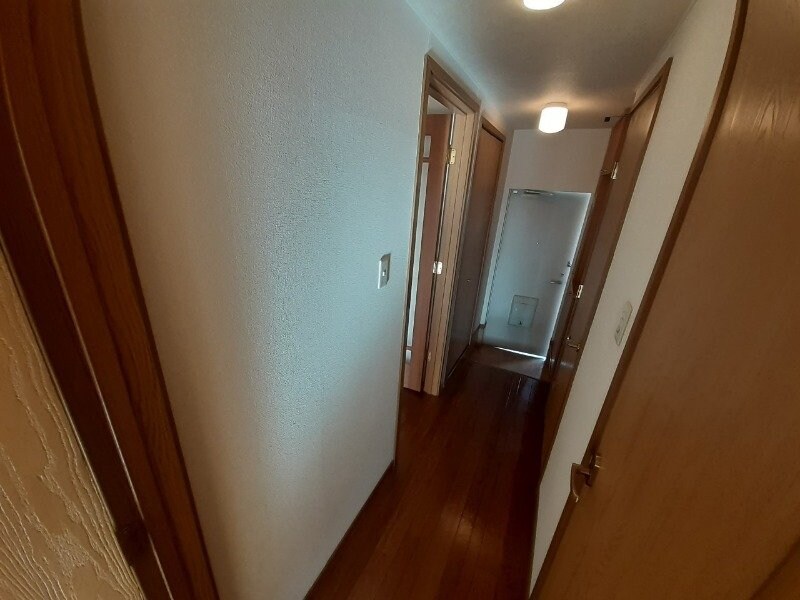 同型参考写真 アネスト