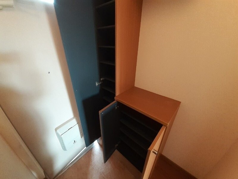 同型参考写真 アネスト