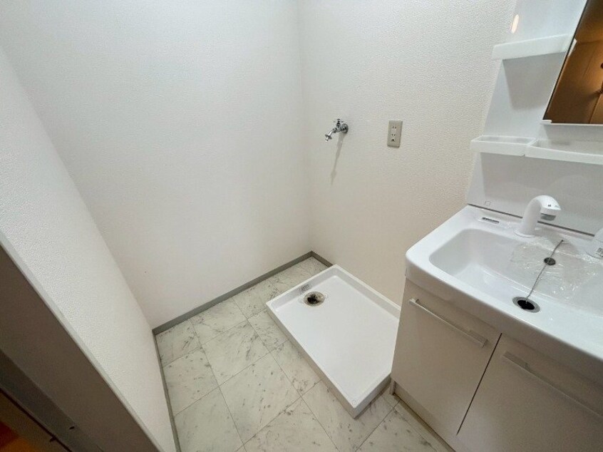  フォーマルハウト PSA