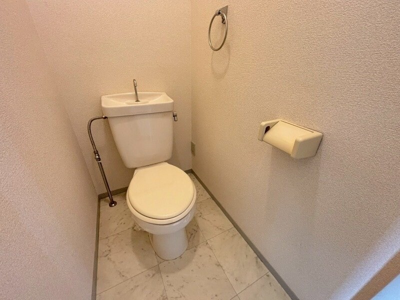  フォーマルハウト PSA