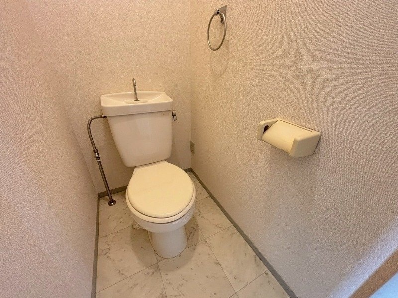  フォーマルハウト PSA