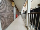 アドバンス長島