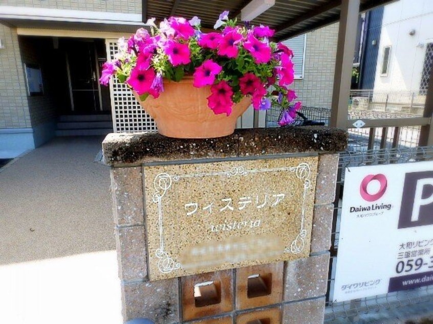  ウィステリア　A