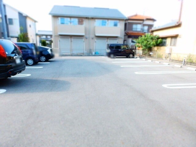  ウィステリア　A