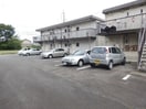  フレグランスヒラマツ
