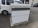 フレグランスヒラマツ