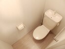  フレグランスヒラマツ