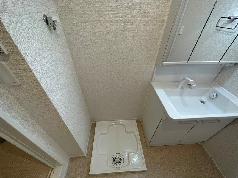 同型参考写真 ヤパンサラゲヨ