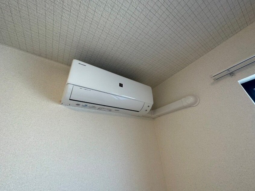 同型参考写真 ヤパンサラゲヨ