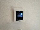 同型参考写真 ヤパンサラゲヨ