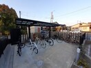  コンフィアンス