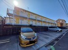 スイートピーの外観