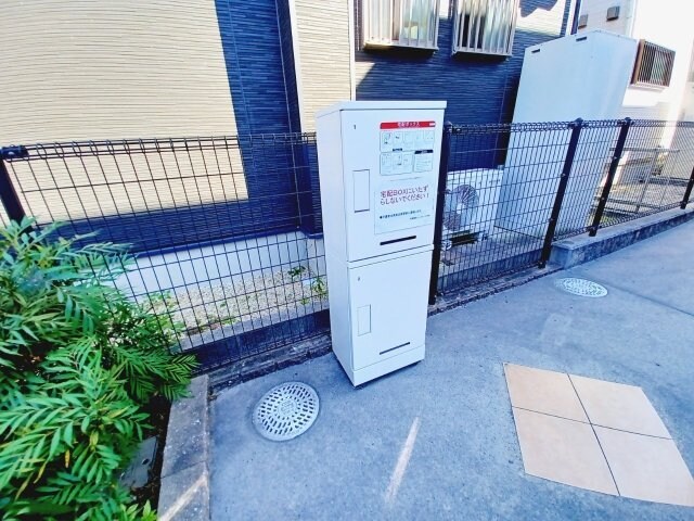  スター　ヒル　Ｍ