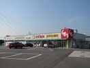 スギ薬局桑名西別所店(ドラッグストア)まで600m フィオーレ